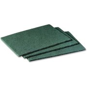 Scotch-Brite Scotch-Brite MMM96CT 6 x 9 in. General Purpose Scrubbing Pad - Green MMM96CT